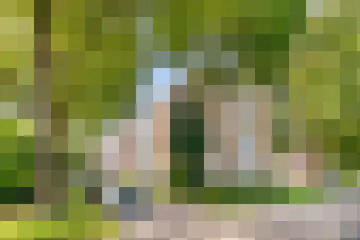 M. Harpertszoon Tromplaan 114 Oegstgeest thumbnail 8