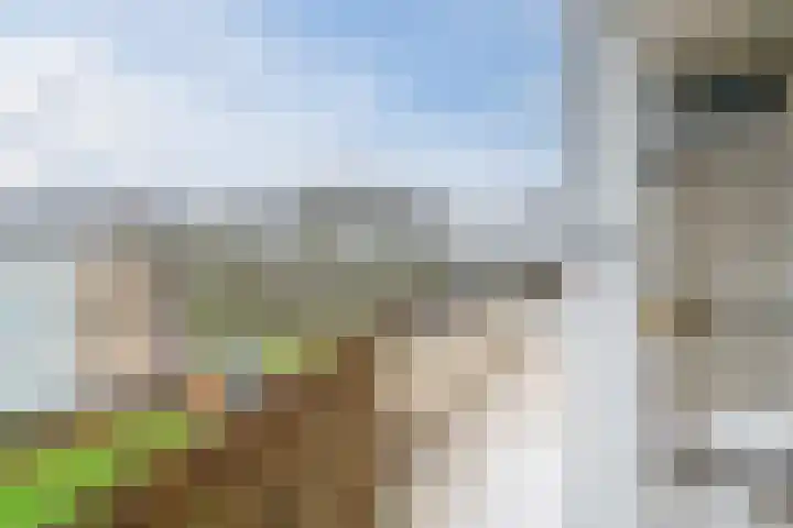 M. Harpertszoon Tromplaan 120 Oegstgeest thumbnail 45