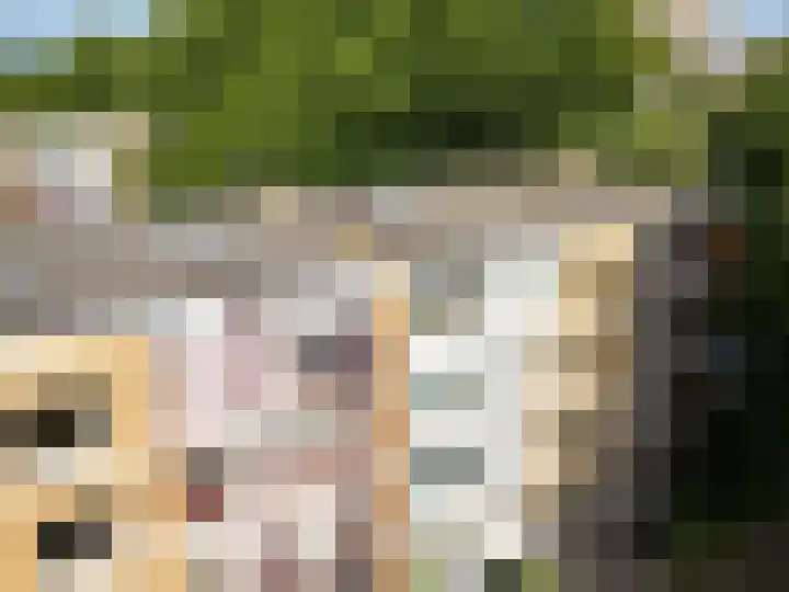 M. Harpertszoon Tromplaan 120 Oegstgeest thumbnail 49