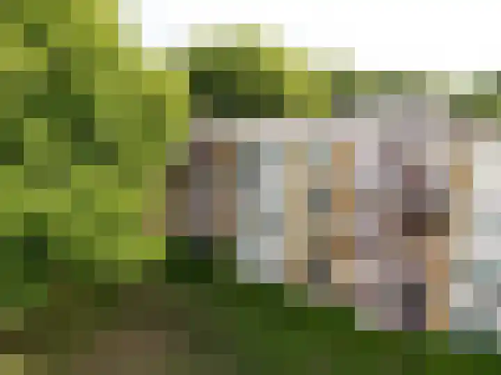 M. Harpertszoon Tromplaan 120 Oegstgeest thumbnail 5