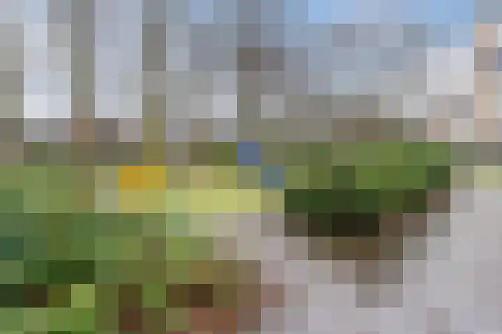 M. Harpertszoon Tromplaan 120 Oegstgeest thumbnail 52