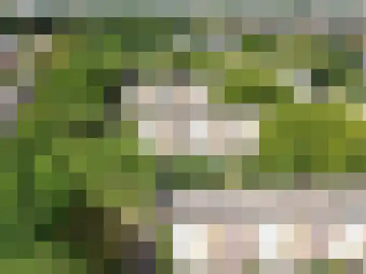 M. Harpertszoon Tromplaan 120 Oegstgeest thumbnail 53