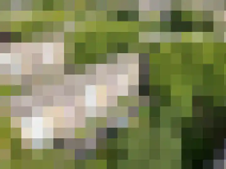 M. Harpertszoon Tromplaan 120 Oegstgeest thumbnail 58
