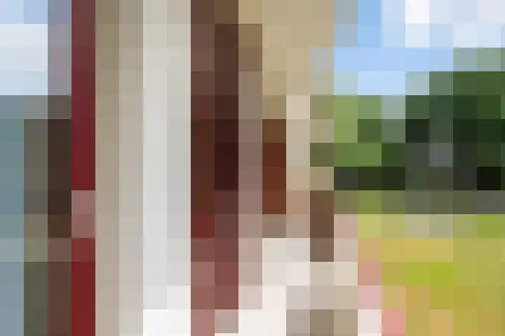 M. Harpertszoon Tromplaan 124 Oegstgeest thumbnail 17