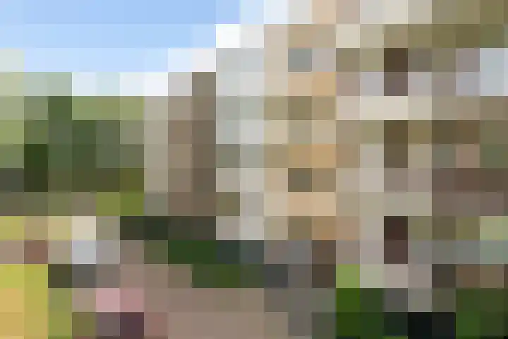 M. Harpertszoon Tromplaan 124 Oegstgeest thumbnail 6