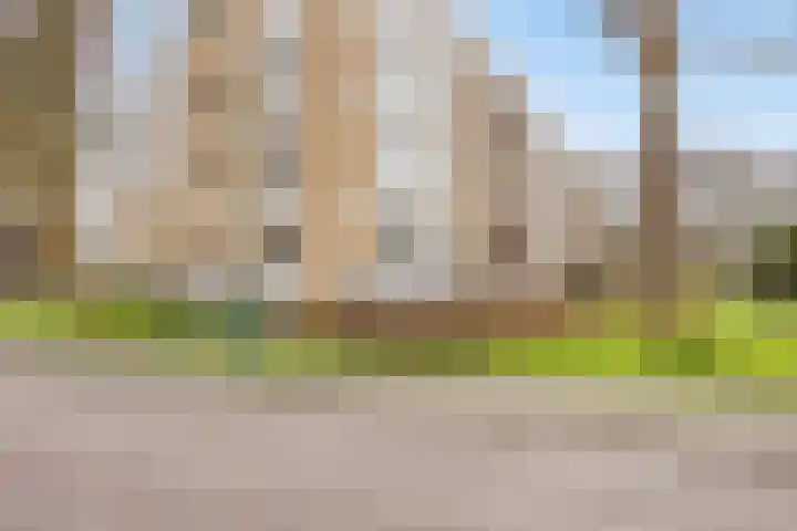 M. Harpertszoon Tromplaan 156 Oegstgeest thumbnail 11