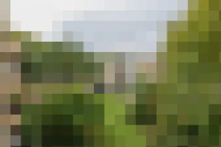 M. Harpertszoon Tromplaan 158 Oegstgeest thumbnail 23