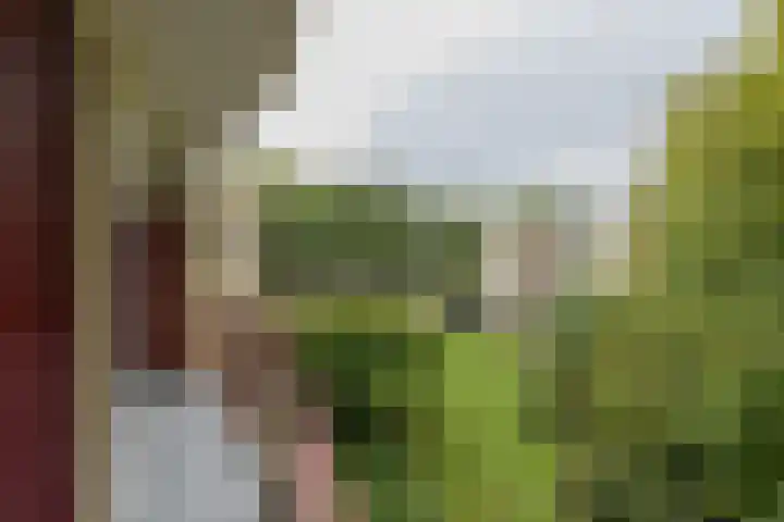M. Harpertszoon Tromplaan 158 Oegstgeest thumbnail 27