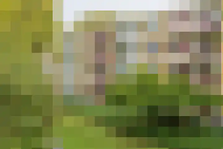 M. Harpertszoon Tromplaan 158 Oegstgeest thumbnail 30