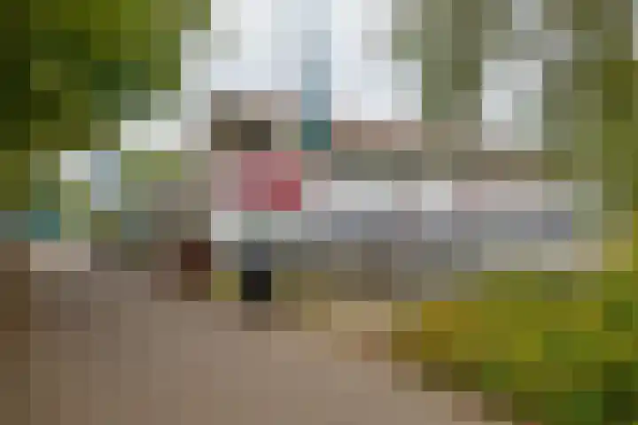 M. Harpertszoon Tromplaan 158 Oegstgeest thumbnail 33