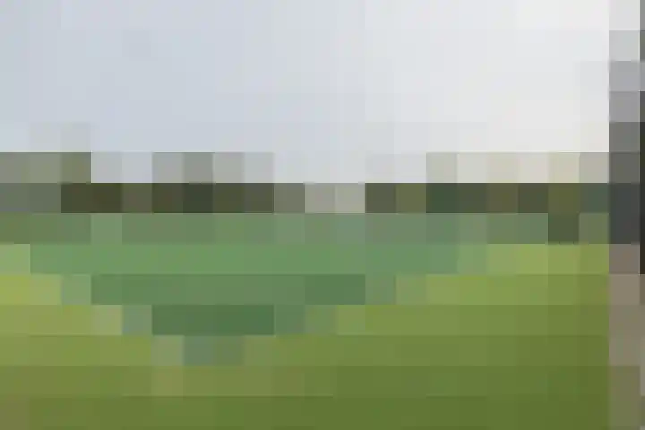 M. Harpertszoon Tromplaan 158 Oegstgeest thumbnail 34