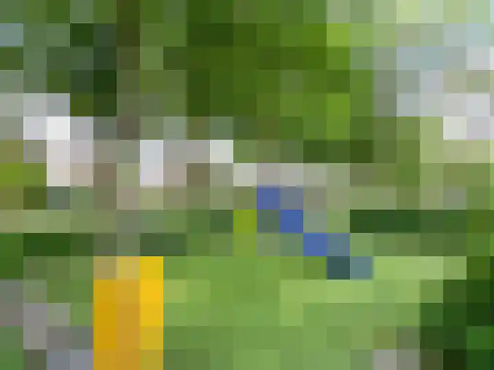 M. Harpertszoon Tromplaan 178 Oegstgeest thumbnail 20