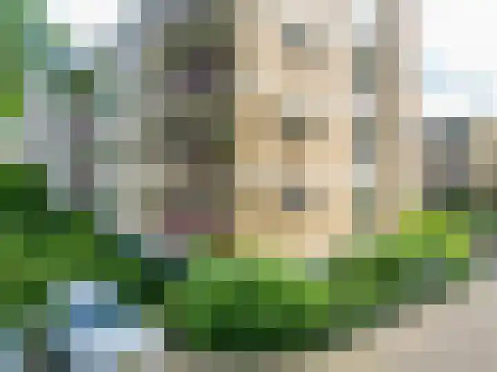 M. Harpertszoon Tromplaan 186 Oegstgeest thumbnail 22