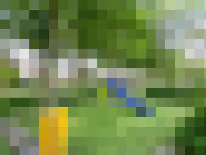 M. Harpertszoon Tromplaan 186 Oegstgeest thumbnail 26