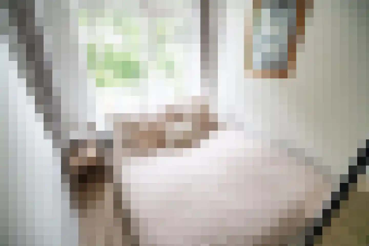 M. Harpertszoon Tromplaan 204 Oegstgeest thumbnail 18