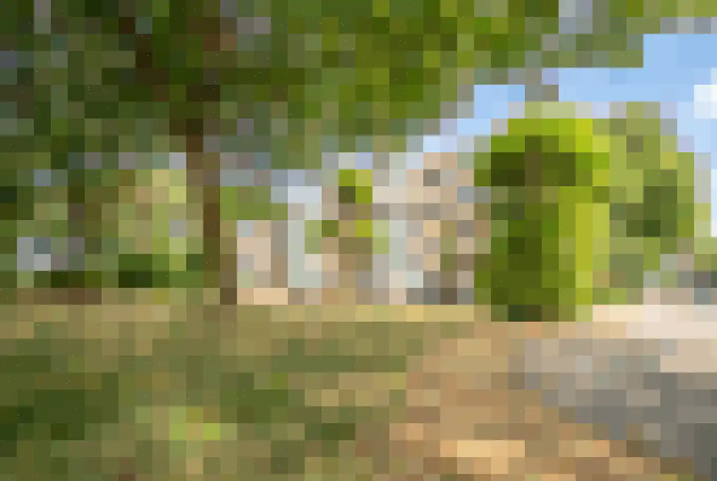 M. Harpertszoon Tromplaan 204 Oegstgeest thumbnail 41