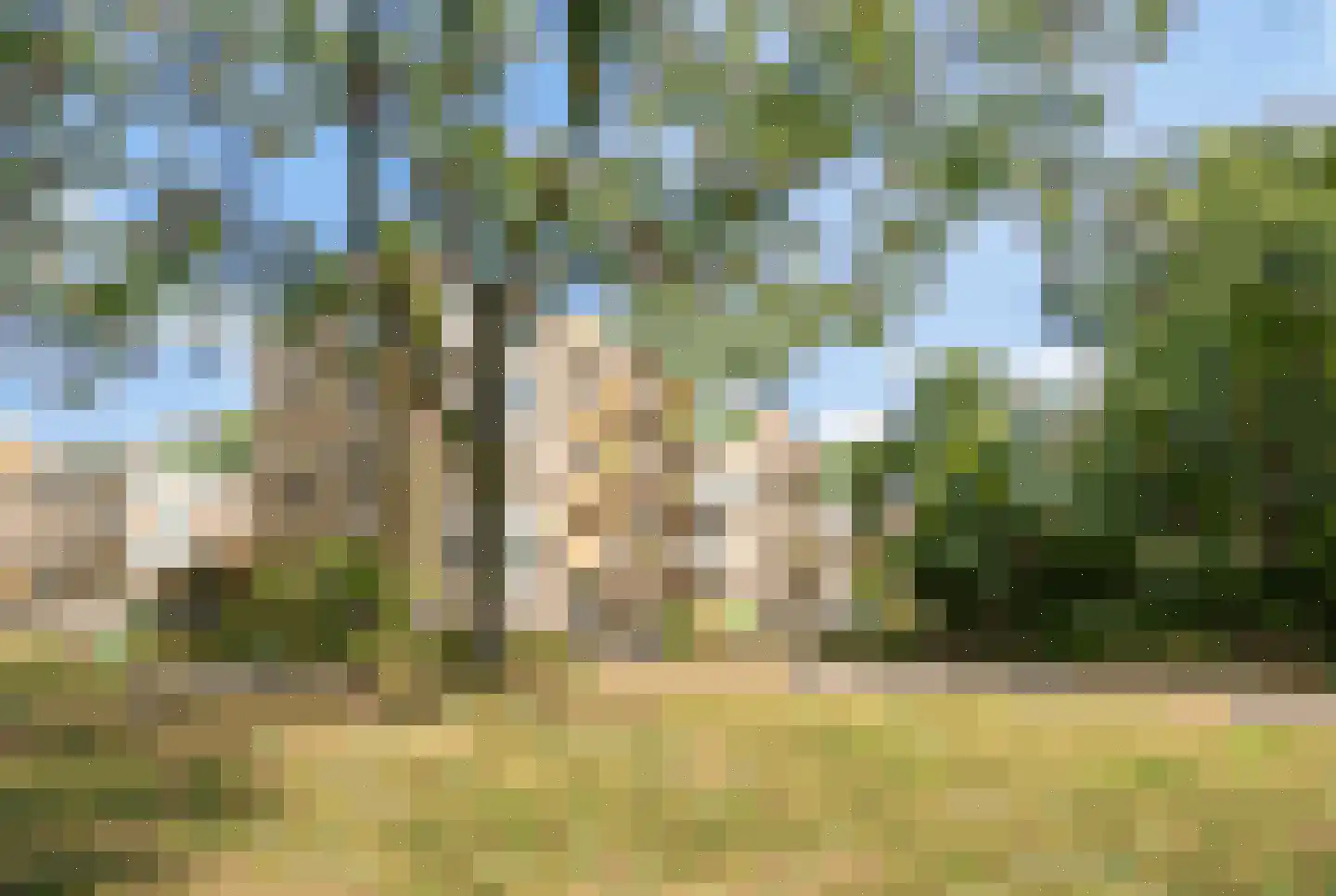 M. Harpertszoon Tromplaan 204 Oegstgeest thumbnail 42