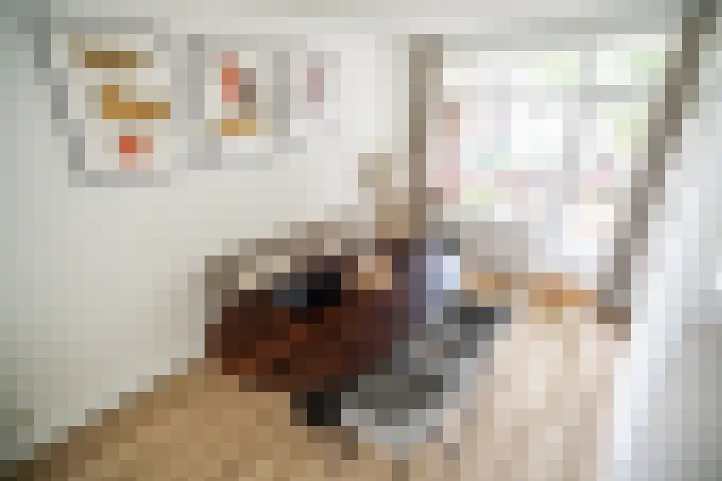 M. Harpertszoon Tromplaan 204 Oegstgeest thumbnail 8