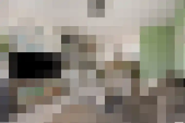M. Harpertszoon Tromplaan 222 Oegstgeest thumbnail 12