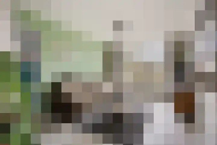 M. Harpertszoon Tromplaan 222 Oegstgeest thumbnail 14