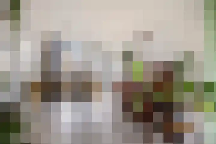 M. Harpertszoon Tromplaan 222 Oegstgeest thumbnail 15