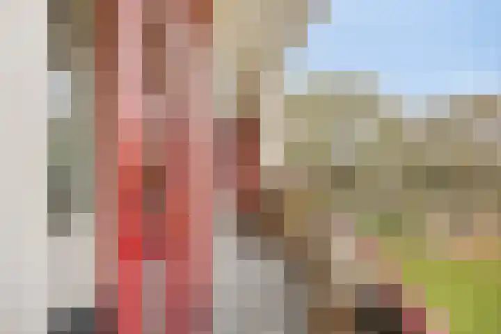 M. Harpertszoon Tromplaan 222 Oegstgeest thumbnail 25