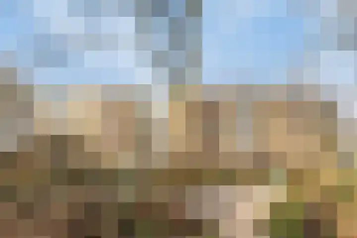 M. Harpertszoon Tromplaan 222 Oegstgeest thumbnail 30