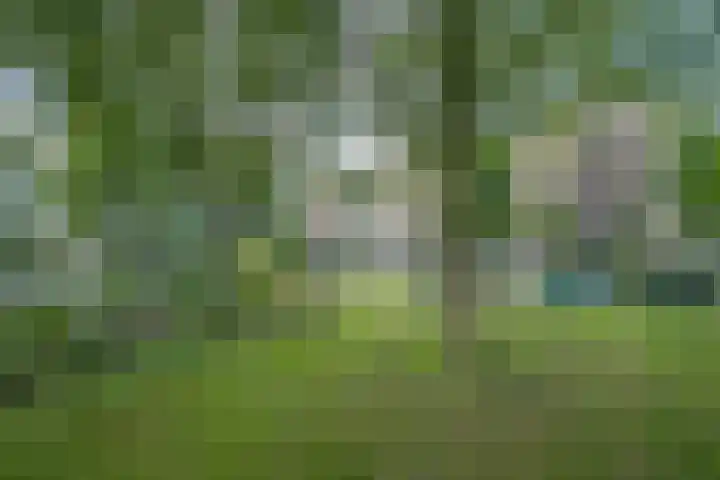 M. Harpertszoon Tromplaan 222 Oegstgeest thumbnail 35