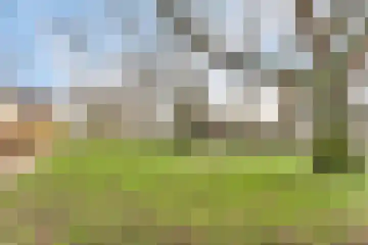 M. Harpertszoon Tromplaan 222 Oegstgeest thumbnail 36