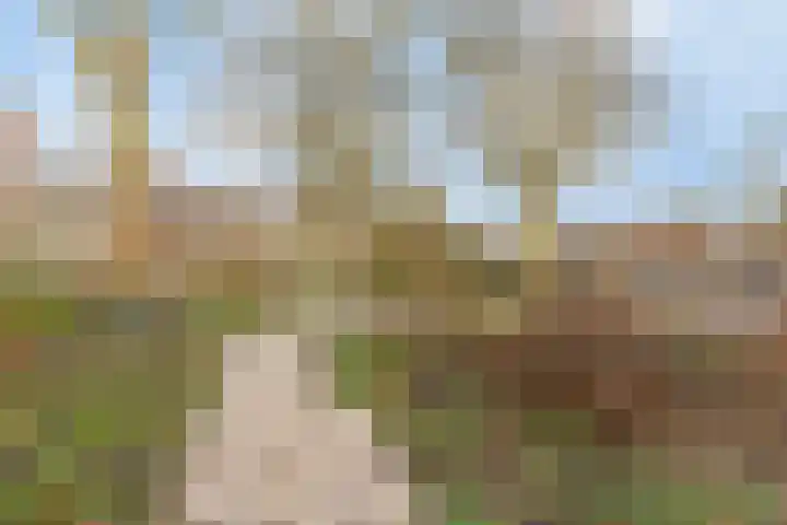 M. Harpertszoon Tromplaan 222 Oegstgeest thumbnail 37