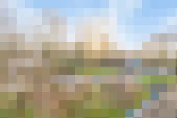 M. Harpertszoon Tromplaan 222 Oegstgeest thumbnail 39