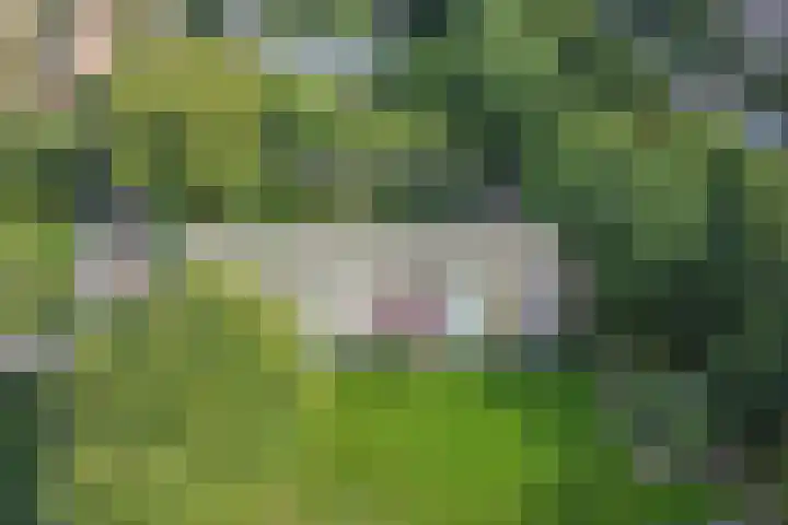 M. Harpertszoon Tromplaan 222 Oegstgeest thumbnail 4