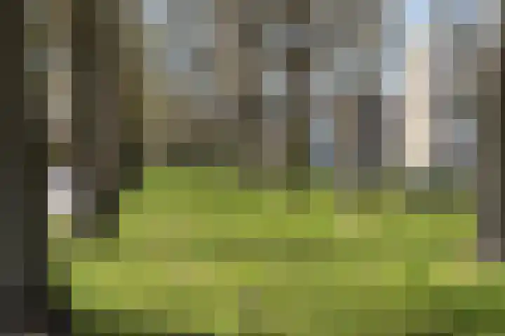 M. Harpertszoon Tromplaan 222 Oegstgeest thumbnail 42