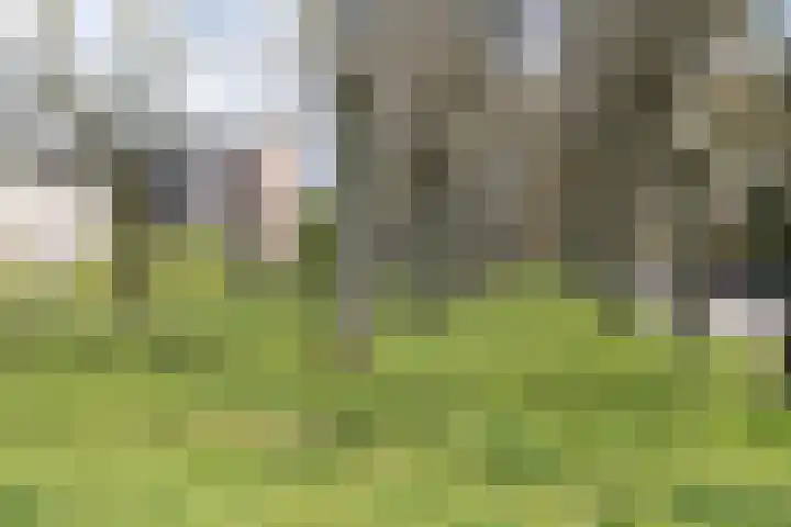 M. Harpertszoon Tromplaan 222 Oegstgeest thumbnail 43