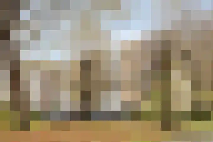 M. Harpertszoon Tromplaan 222 Oegstgeest thumbnail 5