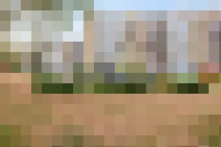 M. Harpertszoon Tromplaan 228 Oegstgeest thumbnail 18