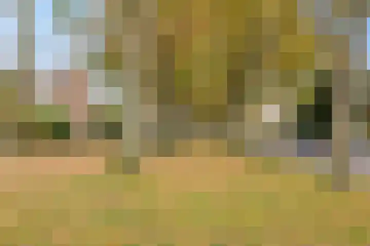 M. Harpertszoon Tromplaan 228 Oegstgeest thumbnail 20