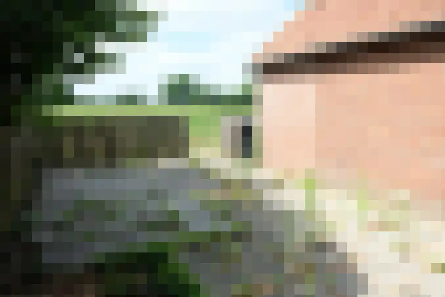 M.J. Veder- van Hobokenstraat 10 Noordeloos thumbnail 13