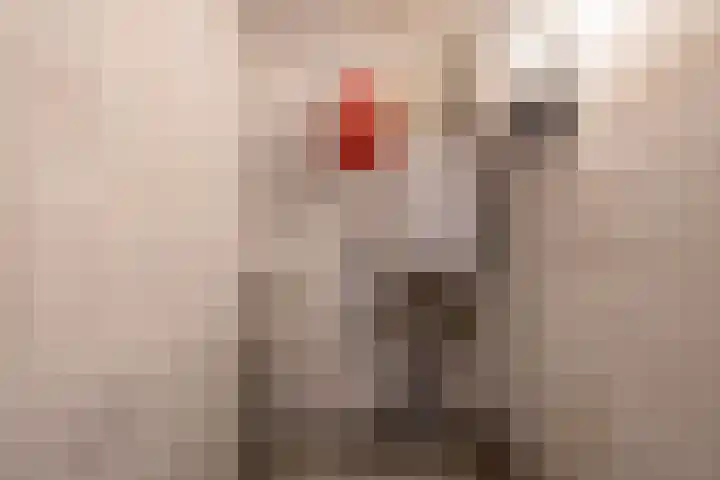 M.K. Gandhiplein 111 Groningen thumbnail 38
