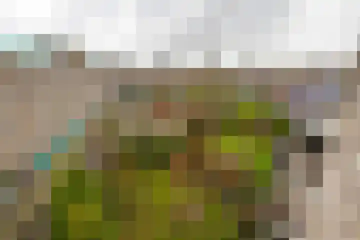 M.K. Gandhiplein 111 Groningen thumbnail 40