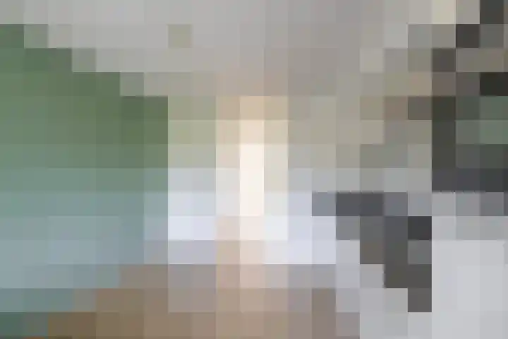 M.K. Gandhiplein 122 Groningen thumbnail 17