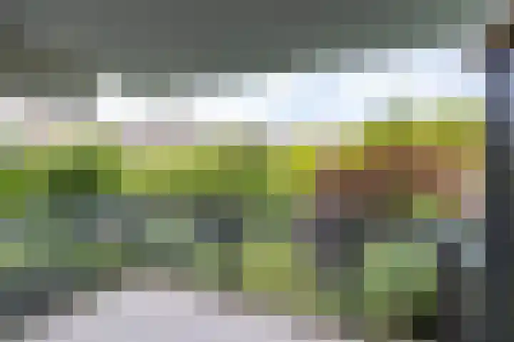 M.K. Gandhiplein 122 Groningen thumbnail 19