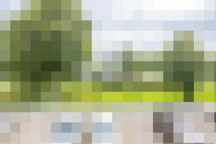 M.K. Gandhiplein 122 Groningen thumbnail 26