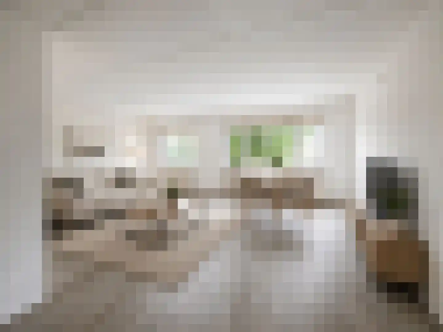 M.K. Gandhiplein 128 Groningen thumbnail 18