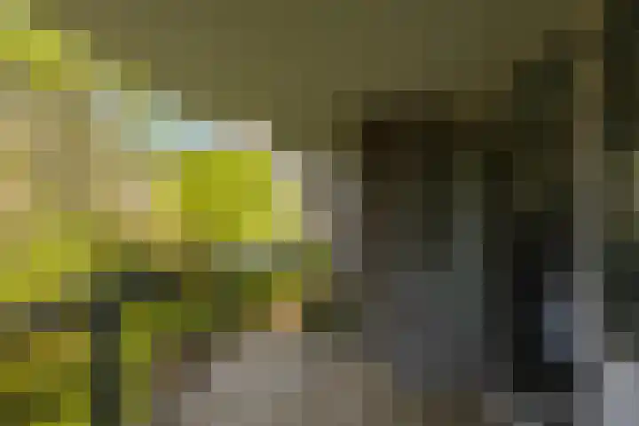 M.K. Gandhiplein 135 Groningen thumbnail 30
