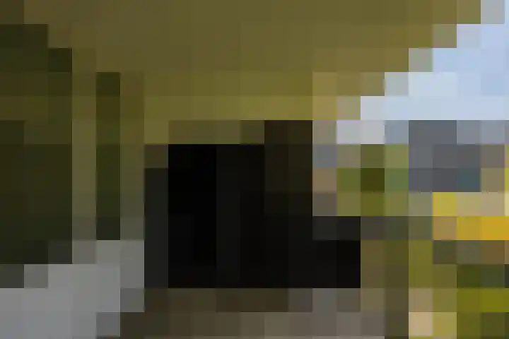 M.K. Gandhiplein 135 Groningen thumbnail 31