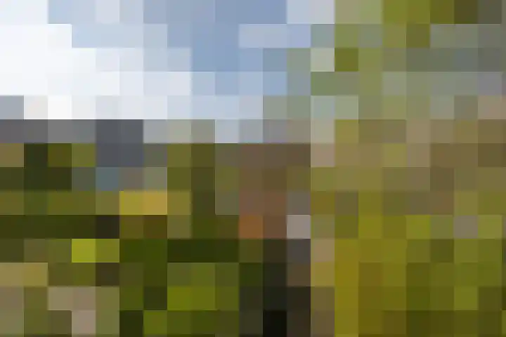 M.K. Gandhiplein 135 Groningen thumbnail 32