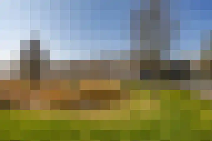 M.K. Gandhiplein 135 Groningen thumbnail 34
