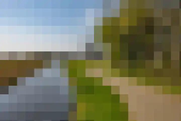 M.K. Gandhiplein 135 Groningen thumbnail 37
