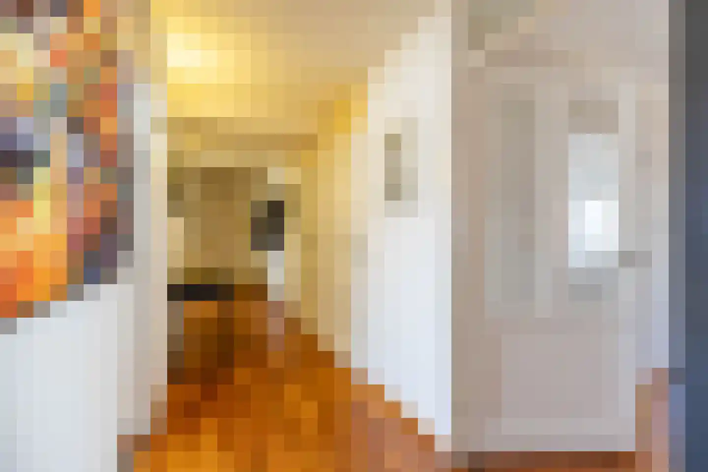 M.K. Gandhiplein 16 Groningen thumbnail 10